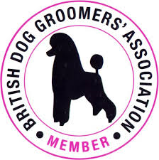 British Dog Groomer Qualified Bekki from Tails Never Fails